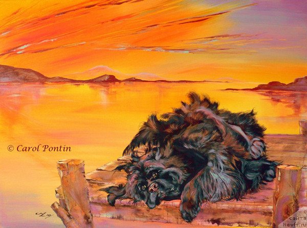 Фотография № 236207