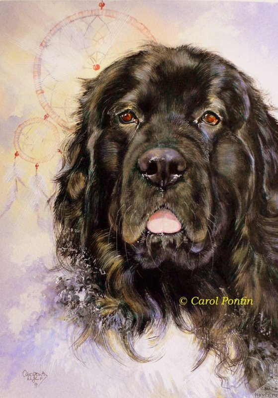 Фотография № 236212