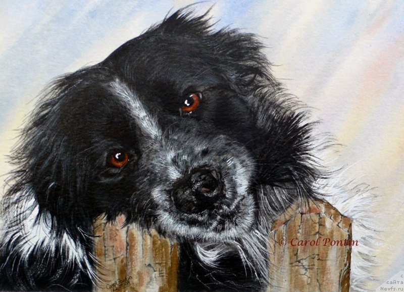 Фотография № 236213