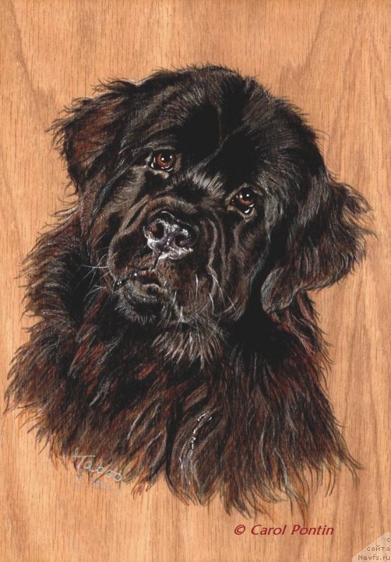 Фотография № 236217