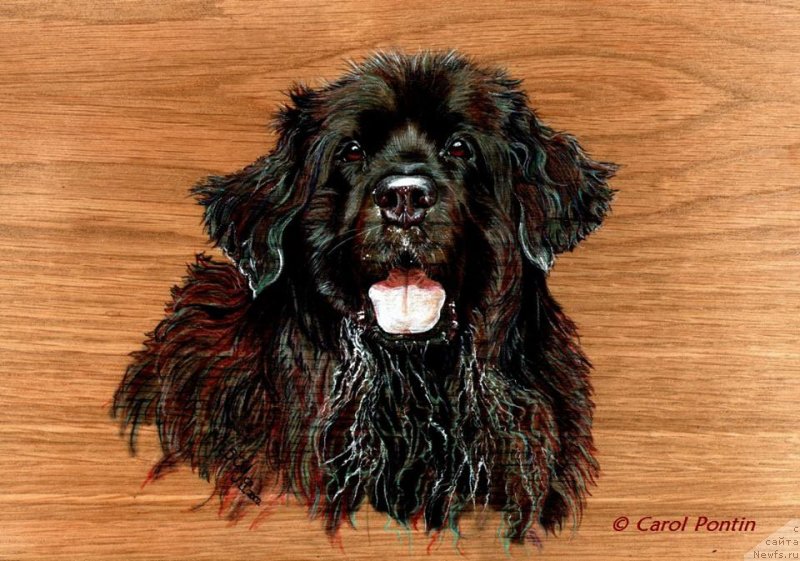 Фотография № 236218