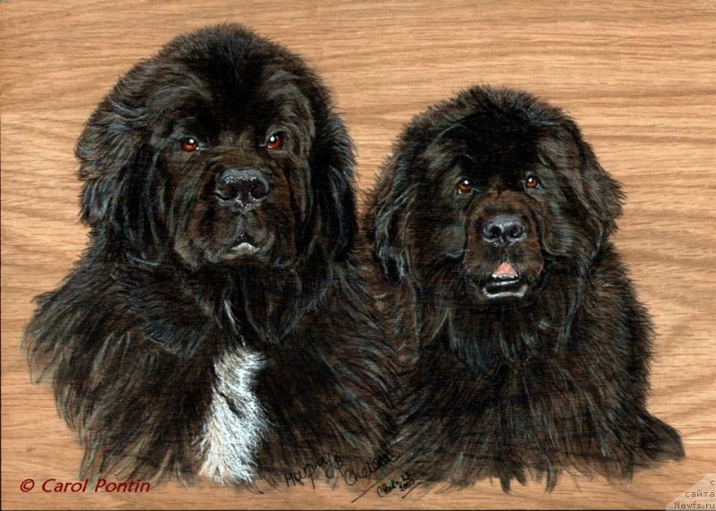 Фотография № 236219