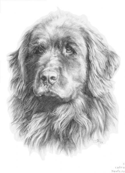 Фотография № 236223