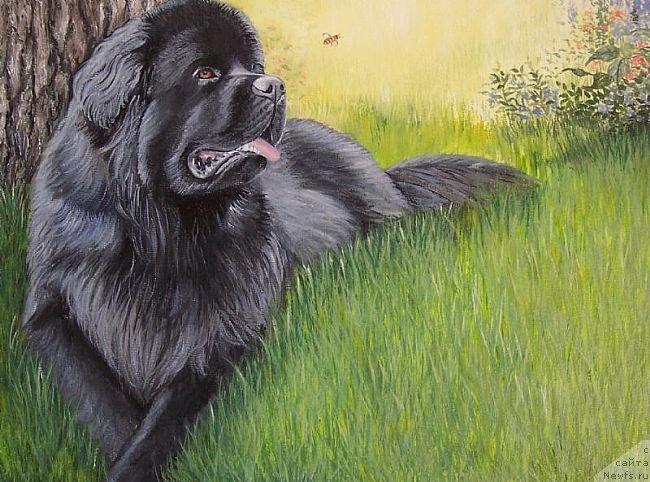 Фотография № 236224