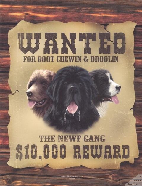 Фотография № 236225