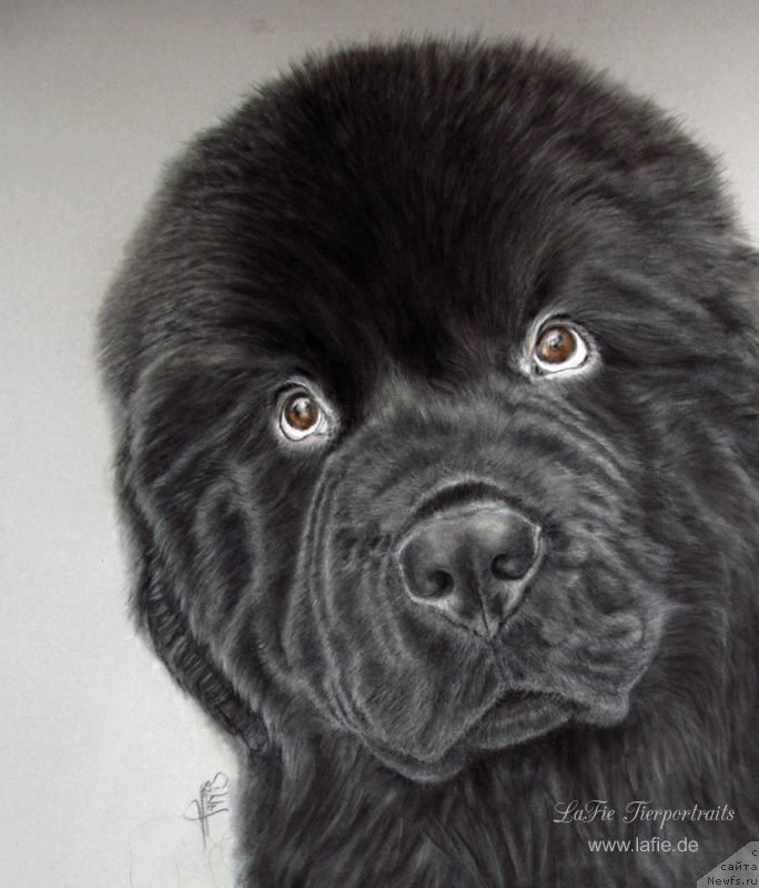 Фотография № 236226