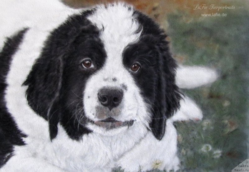 Фотография № 236227