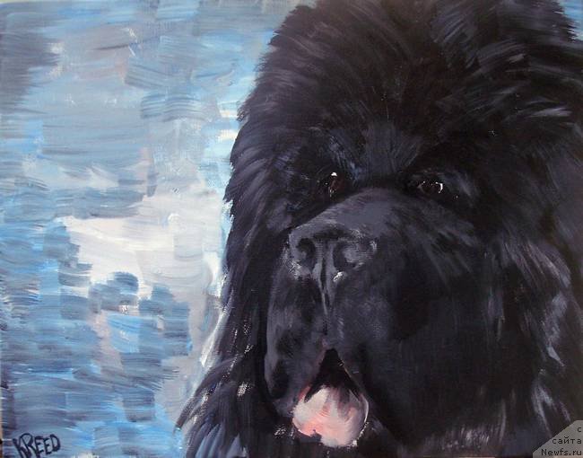 Фотография № 236228