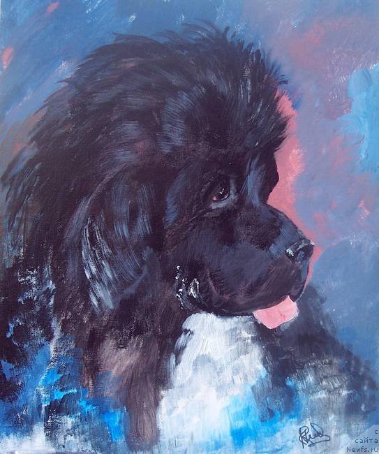 Фотография № 236229