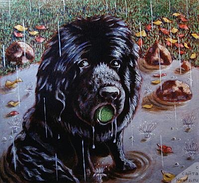 Фотография № 236231