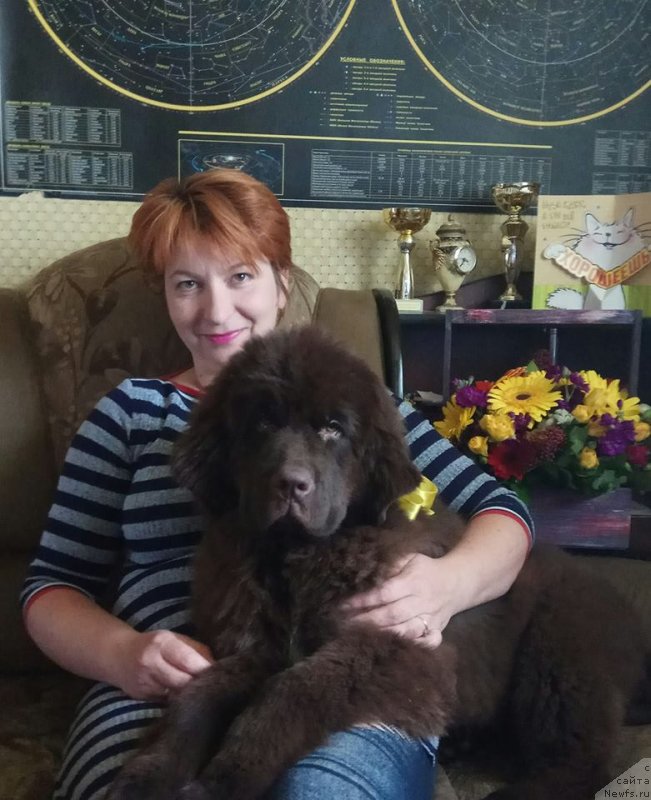 Фото: Ньюфорт Морская Нимфа