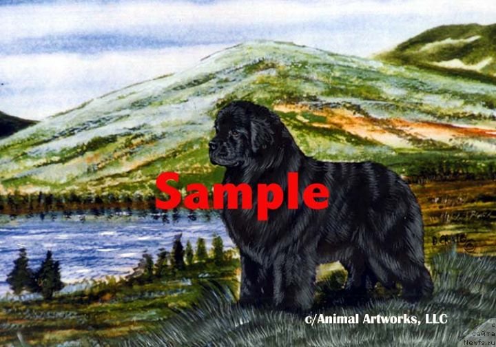 Фотография № 236237