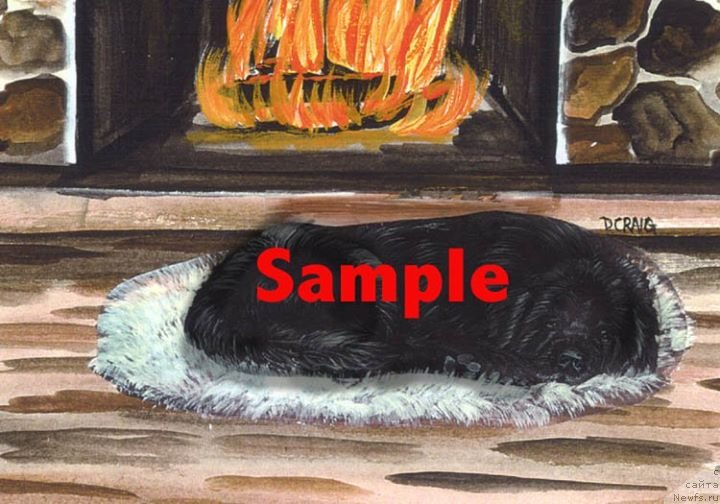 Фотография № 236241