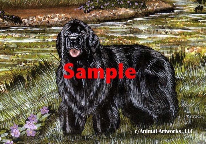 Фотография № 236242