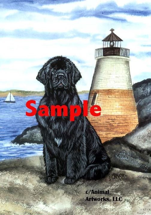 Фотография № 236243