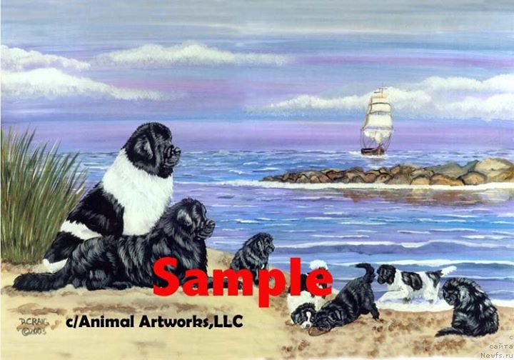 Фотография № 236244