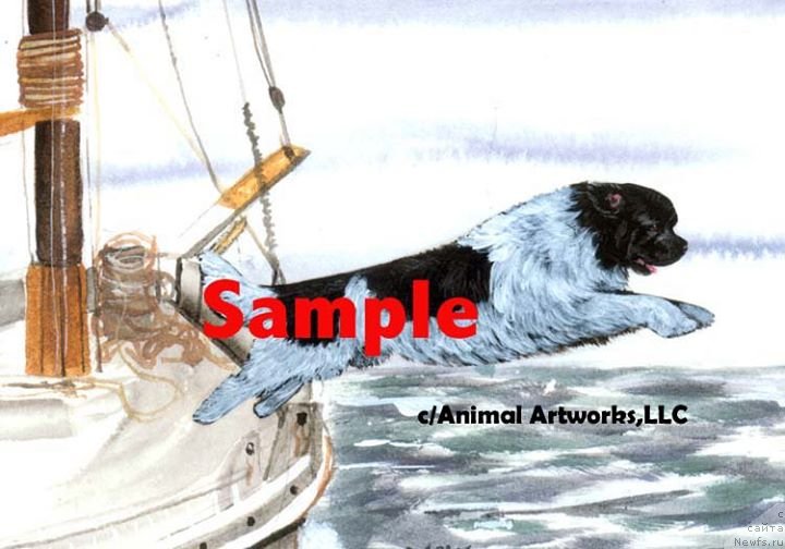 Фотография № 236245