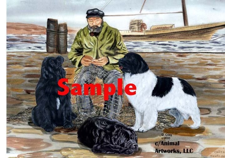 Фотография № 236246