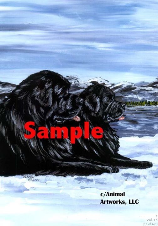 Фотография № 236248