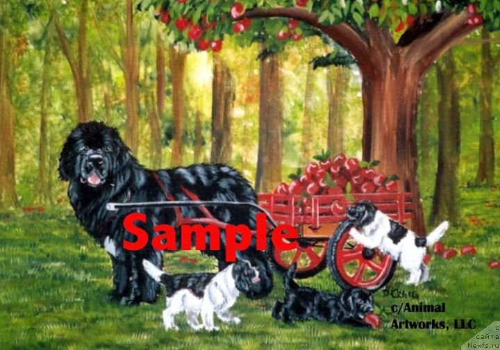 Фотография № 236249