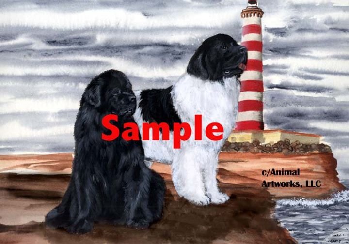 Фотография № 236250