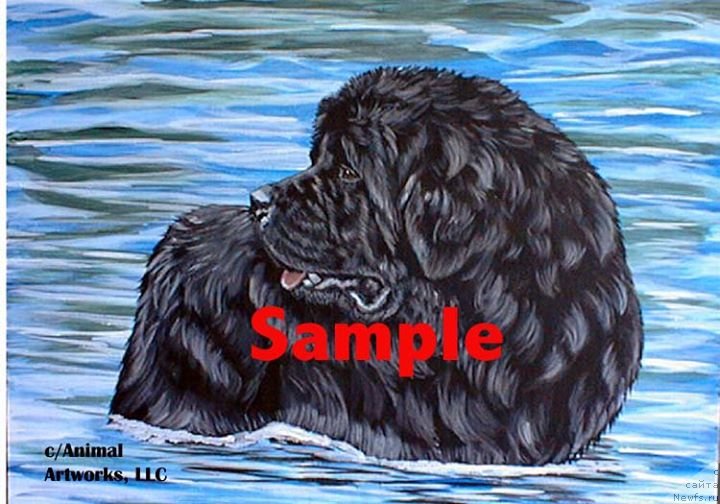 Фотография № 236251