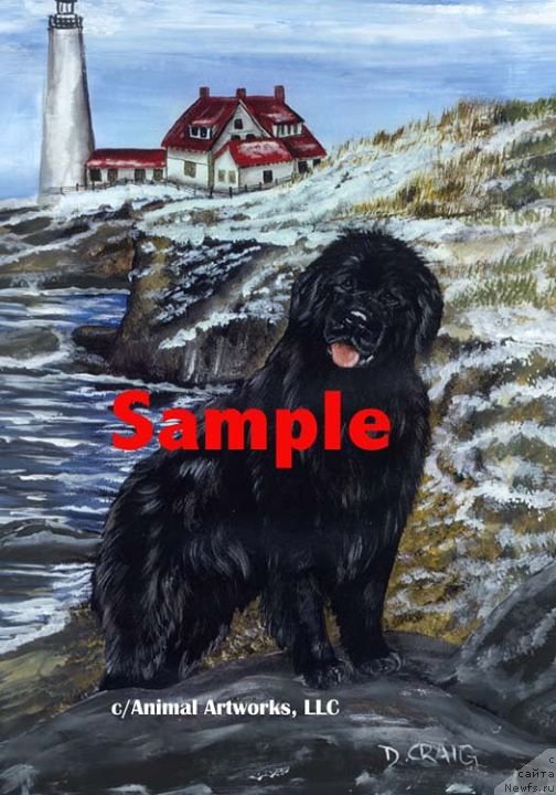 Фотография № 236252