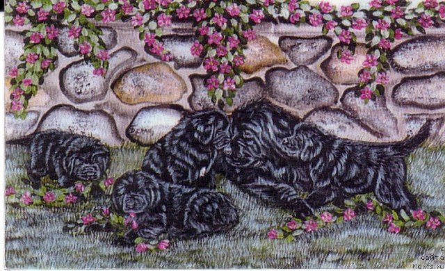 Фотография № 236256