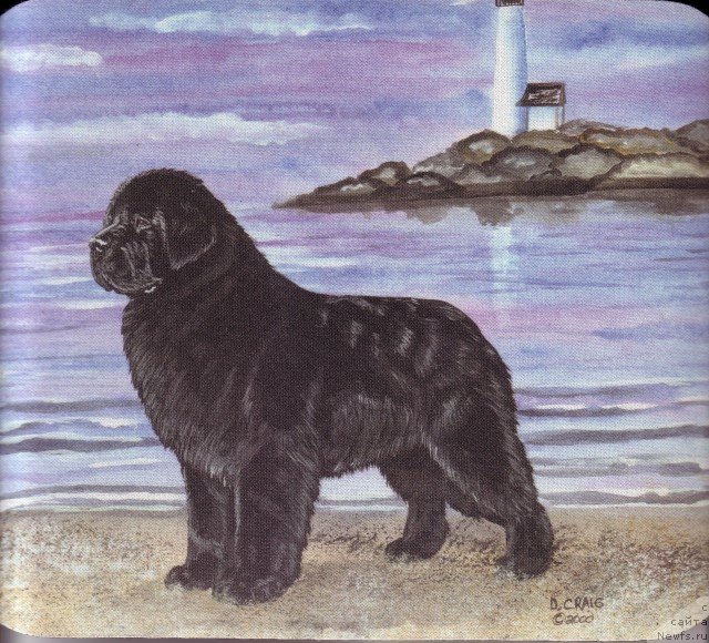 Фотография № 236257