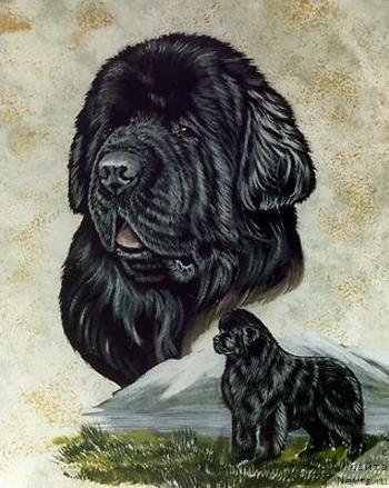 Фотография № 236258