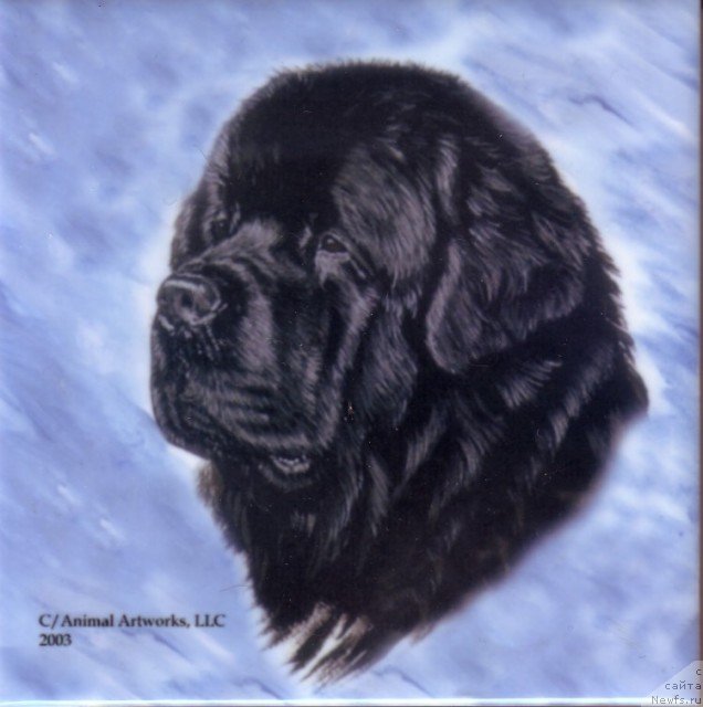 Фотография № 236259