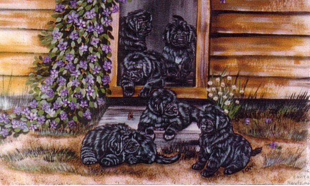 Фотография № 236260