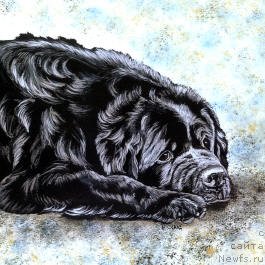 Фотография № 236261