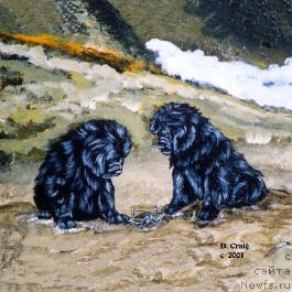 Фотография № 236262