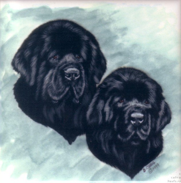 Фотография № 236263