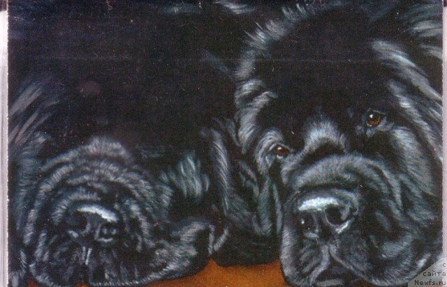 Фотография № 236264