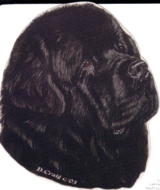 Фотография № 236265