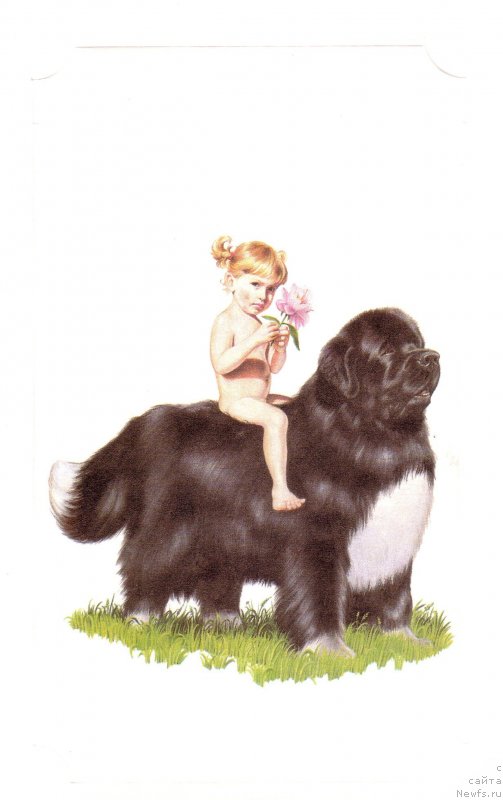 Фотография № 236268