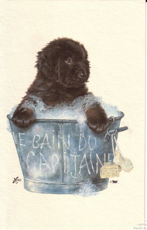 Фотография № 236269