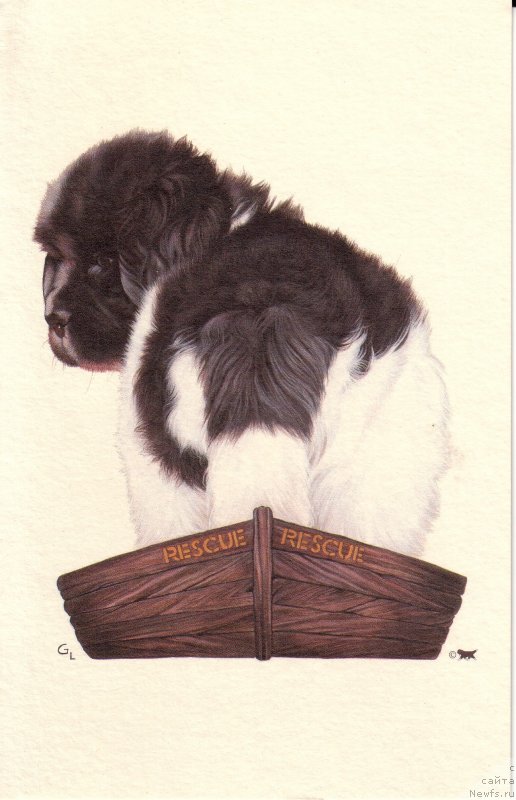 Фотография № 236271