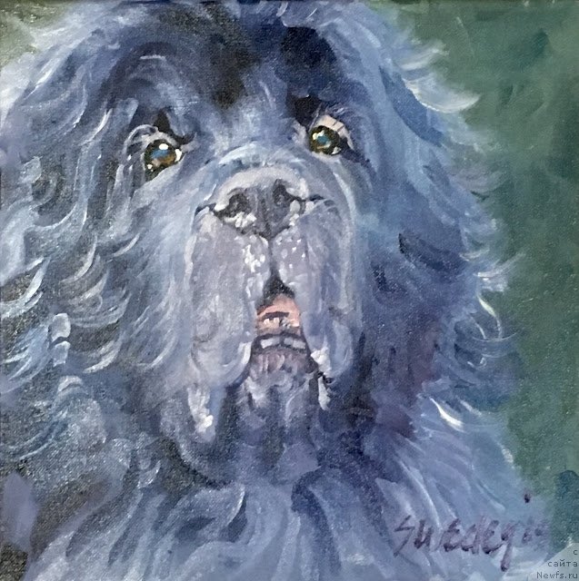 Фотография № 236284