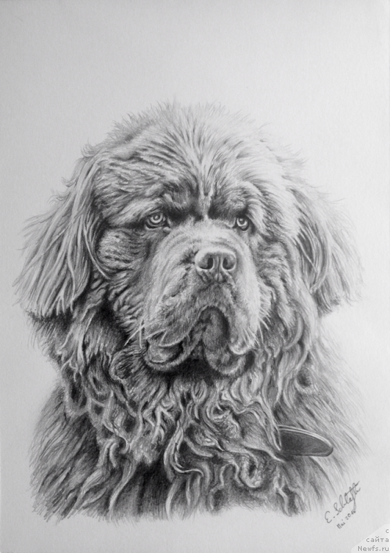 Фотография № 236286