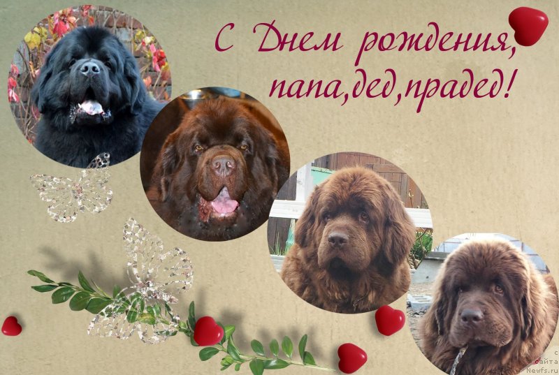 Фотография № 236289