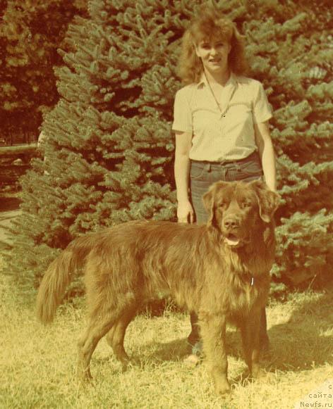 Фото: ньюфаундленд Ratmir (Ратмир)