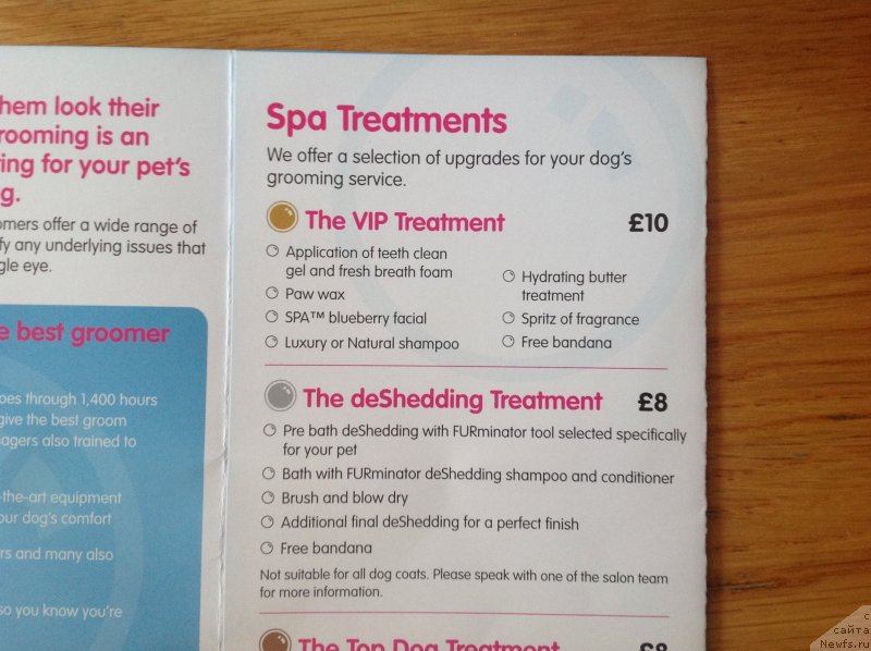 Фотография № 236326