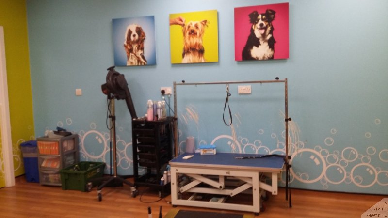 Фотография № 236328