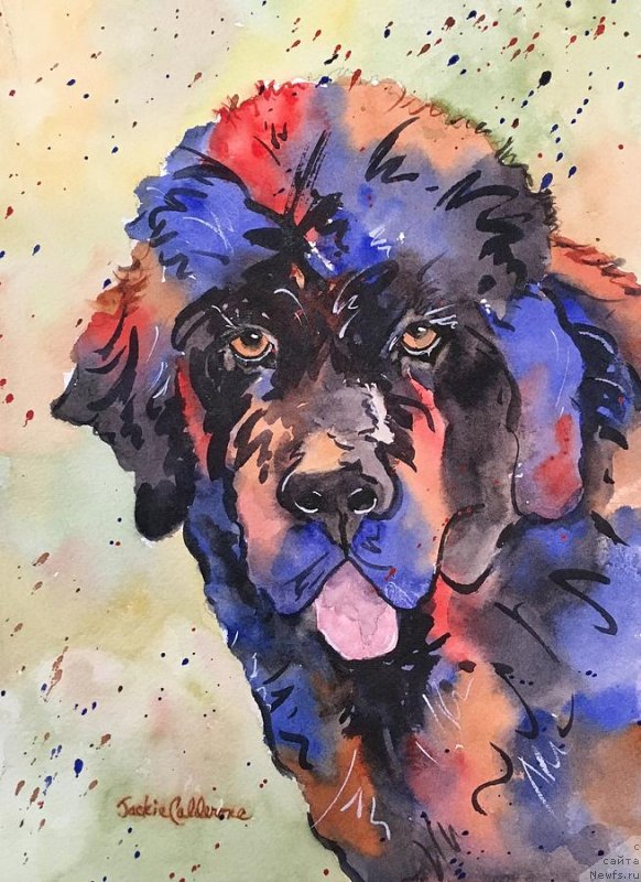 Фотография № 236345