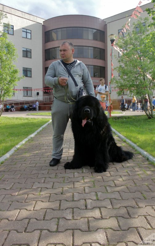 Фотография № 236348