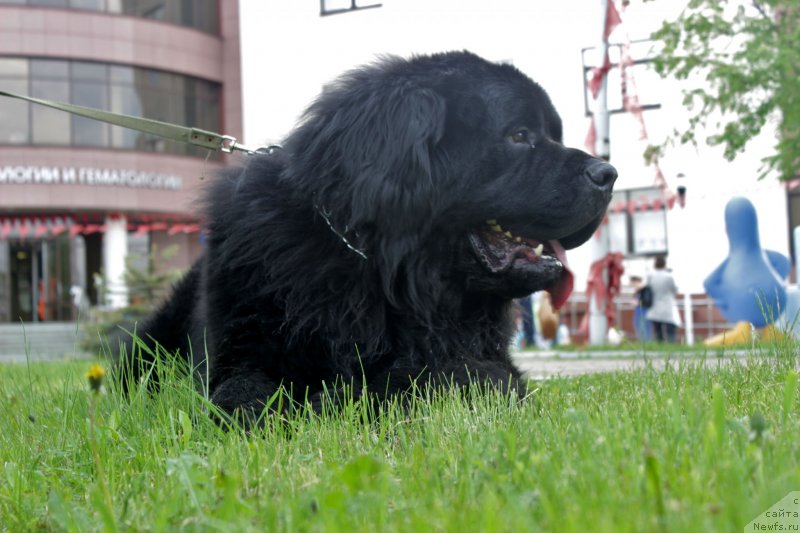 Фотография № 236350