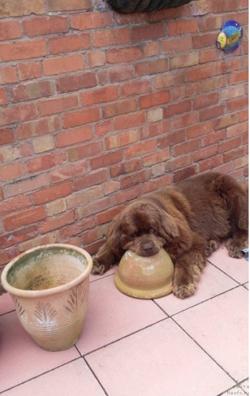 Фотография № 236353